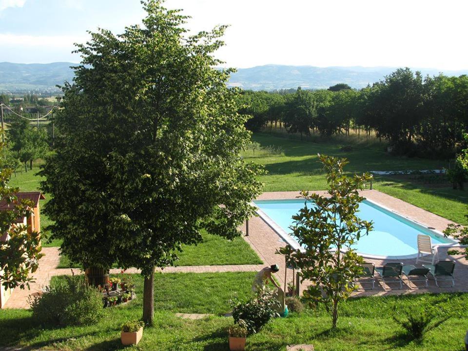 La Sorgente Del Subasio Assisi Apartment ภายนอก รูปภาพ