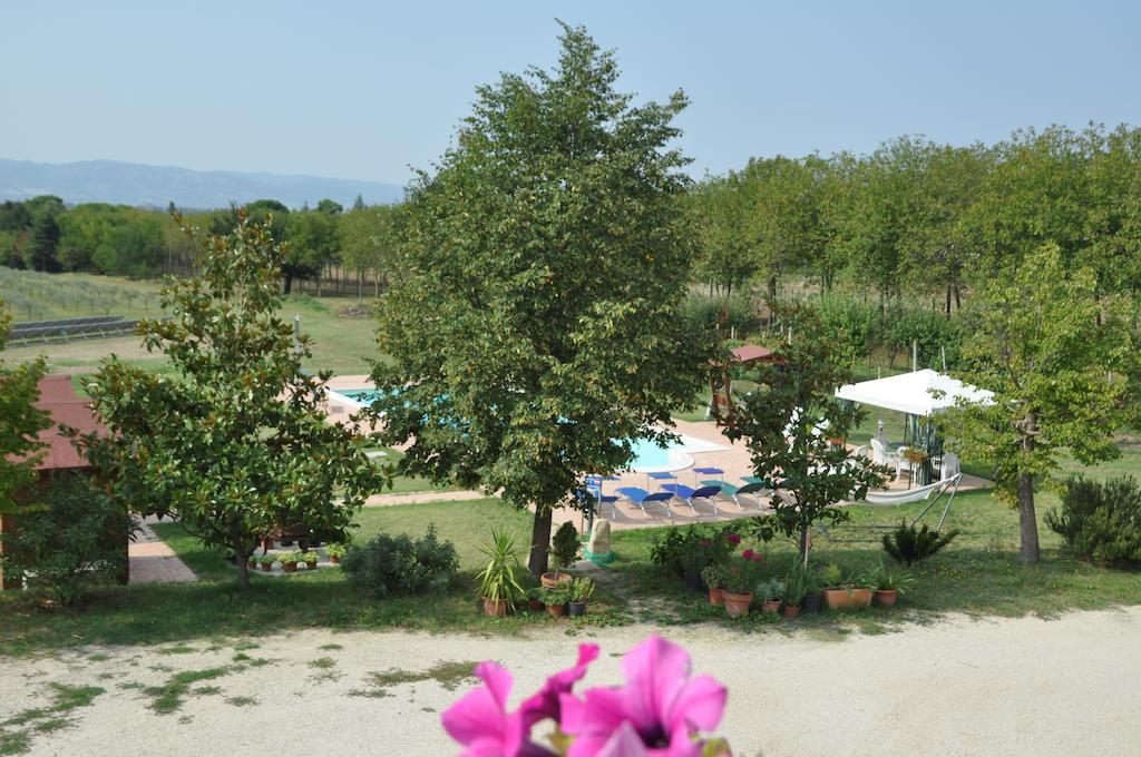 La Sorgente Del Subasio Assisi Apartment ภายนอก รูปภาพ